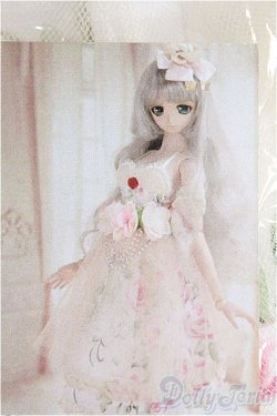 画像1: DD/OF Light Cantarella：CODENOIR製 I-24-07-21-2123-TO-ZI