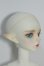 画像3: WITH DOLL/Egon The Elf Knight Girl Body Y-24-05-08-052-YB-ZY