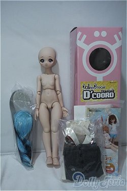 画像5: MDD/DDH-01 D'CORD Y-24-06-12-100-YD-ZY