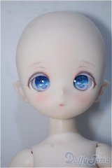 puyoodoll/KUMAKO RURU Y-24-07-31-059-YD-ZY