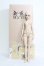 画像5: Myoudoll /Delia coffee skin 1/4 I-24-05-12-1012-NY-ZI