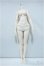 画像1: MYOUDOLL/1/4 Girl Body 2-1　Three-Parts Body Y-24-07-10-299-YD-ZY (1)