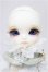 画像1: DEARMINE/BENJAMIN collaboration A-24-07-10-101-KD-ZA (1)