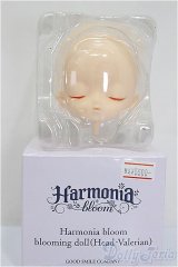 Harmonia bloom /blooming doll (Head-Valerian) A-24-07-24-293-NY-ZA