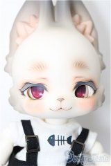 Kani BOOM Doll/旅猫 Maine Coon ver. limited A-24-08-21-102-NY-ZA