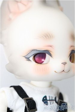 画像2: Kani BOOM Doll/旅猫 Maine Coon ver. limited A-24-08-21-102-NY-ZA