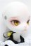 画像3: DOLK×DOLL ZONE】Miss kitty - 猫メイド ver. Limited A-24-09-04-242-KD-ZA