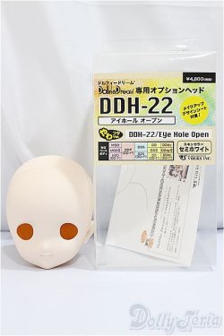 画像3: DD/DDH-22　専用オプションヘッド/ A-24-10-23-497-NY-ZA