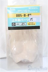 DDS/上半身パーツ　M胸/0 A-24-11-27-120-NY-ZA