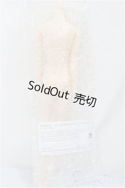 画像2: petworks/六分の一男子図鑑　PW-28BODY　B品/0 A-24-12-04-348-KD-ZA