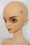 画像3: Gem of Doll /Carlos Human Ver./BJD　球体関節人形 A-25-01-22-148-NY-ZA