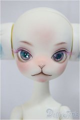 Dollzone/Miss Kitty Twinkle Star fullset/BJD　球体関節人形 A-24-12-25-101-KD-ZA