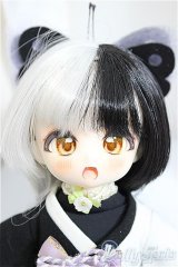 TinyFox/バタフライクノイチ カカフ/BJD　球体関節人形 A-25-01-01-103-KD-ZA