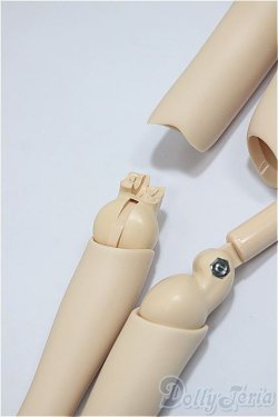 画像5: DDS/ベースボディIII/BJD　球体関節人形 A-25-01-08-231-NY-ZA