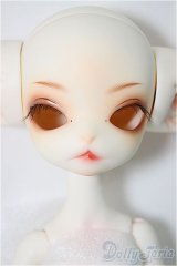 DOLL ZONE/Miss Kitty/BJD　球体関節人形 A-25-01-15-149-NY-ZA