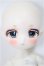 画像1: Tinyfox/デビー/BJD　球体関節人形 A-25-01-15-206-NY-ZA (1)