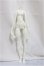 画像1: DOLL CHATEAU/b-body-05/BJD　球体関節人形 A-25-01-22-198-NY-ZA (1)