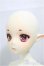 画像3: DOLL ZONE/Mili /BJD　球体関節人形 A-25-02-05-285-NY-ZA