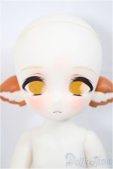 TinyFox/‘Little Fox’1/6 points/BJD　球体関節人形 A-25-02-19-247-NY-ZA