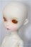 画像3: iMda DOLL 3.0/Amellia/BJD　球体関節人形 A-25-03-05-145-NY-ZA