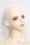 画像3: Dollmore/Gramor Model Doll Ripley Days I-24-06-02-1005-TO-ZI (3)
