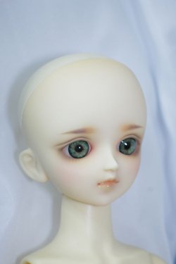 画像3: MSD/スタンダードモデル健 U-24-05-21-216-TN-ZU