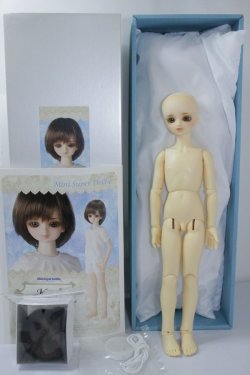 画像5: MSD/スタンダードモデル健 U-24-05-21-216-TN-ZU