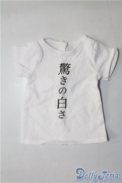 画像1: SD&DD/OF:Tシャツ U-24-05-28-088-TN-ZU