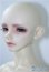 画像3: BJD CROBI /Lance A-24-09-17-1147-TN-ZU