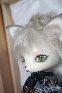 画像3: dearmine/OZ-festival- A-25-02-26-1053-TN-ZU