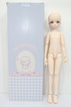 画像4: imomoDOLL/APSUヘッド・1/4GirlBody S-24-09-08-276-GN-ZS