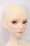 画像3: BEYOURS DOLL/猫眼石 S-24-09-08-309-GN-ZS