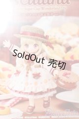 SugarCups/ビスケティーナ Welcome to Sugar Cup Wonderland! S-24-11-24-154-GN-ZS