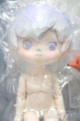 【新宿マルイアネックス店 店頭販売商品】PENNY'S BOX/星狼　木偶国 小画家与魔女 2100150000000872-ZM