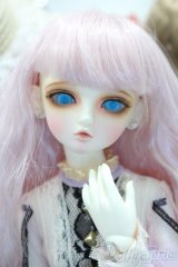 【新宿マルイアネックス店 店頭販売商品】LUTS/KDF-19