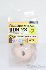 DD/DDH-28ヘッド S-24-12-22-194-GN-ZS