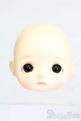 STODOLL/ヘッド S-24-12-22-181-GN-ZS