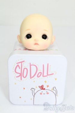 画像5: STODOLL/ヘッド S-24-12-22-181-GN-ZS