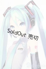 DD/初音ミク S-25-01-12-156-GN-ZS