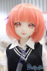 【新宿マルイアネックス店 店頭販売商品】DD/DDH-09カスタムドール