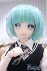 【新宿マルイアネックス店 店頭販売商品】DD/DDH-06カスタムドール