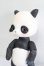 画像2: COCORIANG/Panda Poi S-25-02-09-219-GN-ZS (2)