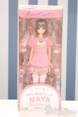 画像2: 【新宿マルイアネックス店 店頭販売商品】azone/アビシニアン マヤ 通常販売ver. 2100150000006794-ZM