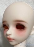 画像6: 【DOLK×MYOU DOLL】Zuzana - Literature Limited/BJD　球体関節人形 A-25-02-05-194-KD-ZA (6)