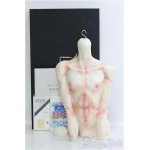 画像: 【SALE】Miracle doll/Sariel Torso I-24-09-01-1011-TO-ZI