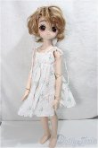 画像4: DD/DDH-01＆MDDボディ A-24-06-12-301-NY-ZA (4)