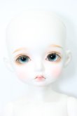 画像1: ROSEN LIED/Holiday's child Limited Basic Mignon S-24-08-04-289-TN-ZS (1)