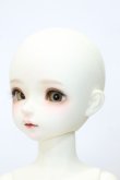 画像2: Myoudoll/matcha S-23-10-25-349-TN-ZS (2)