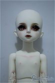 画像6: Gem of doll/Toby,Oolong tea Y-24-06-12-147-YD-ZY (6)