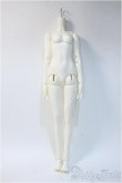 画像1: GEM OF DOLL/　1/3BJD DOLL GIRL BODY Y-25-01-15-231-TN-ZY (1)